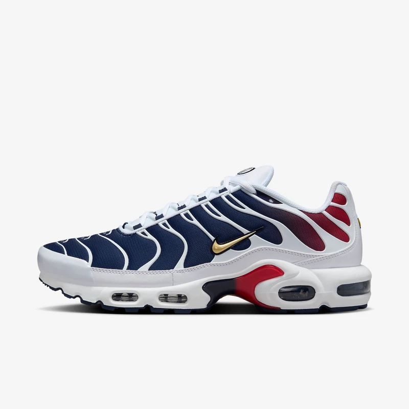 Nike Air Max Plus TN PSG