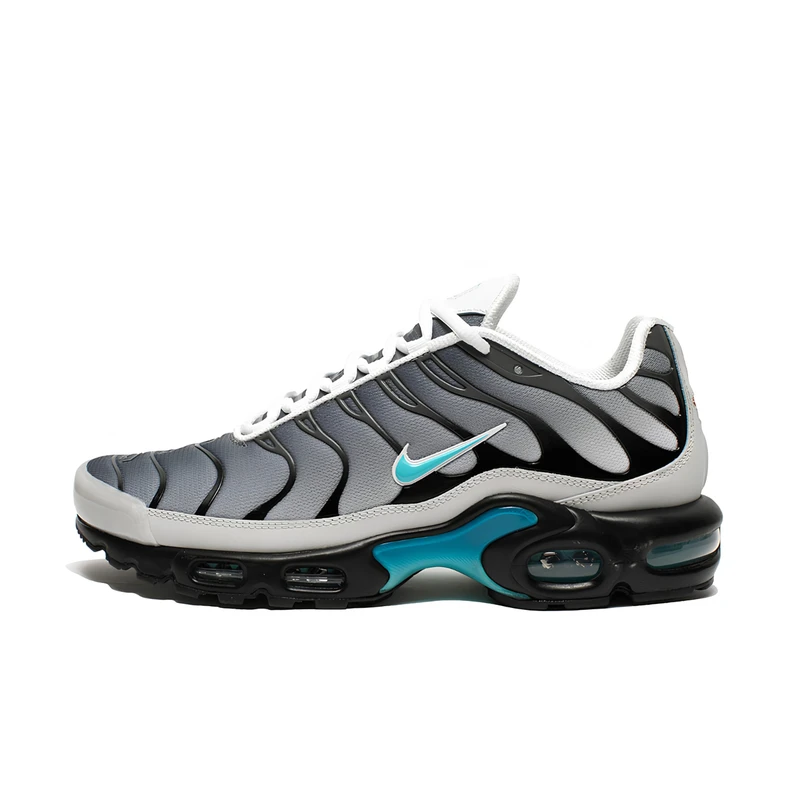 Nike Air Max Plus TN Clear Fog