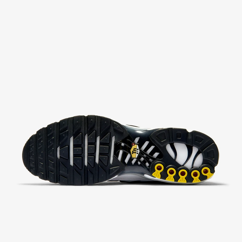 Nike Air Max Plus TN Killer Whale