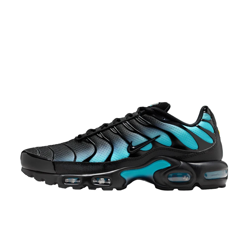 Nike Air Max Plus TN Black Dusty Cactus